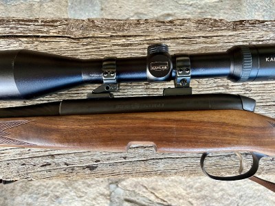 Steyr Mannlicher SBS 96 30.06
