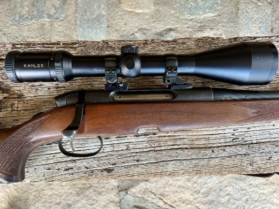 Steyr Mannlicher SBS 96 30.06