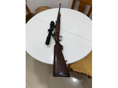 Steyr Shoenauer 30-06