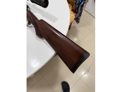 Steyr Shoenauer 30-06