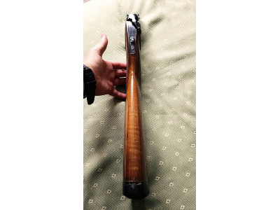 Super Lanber calibre 12