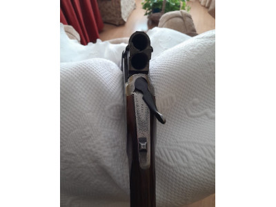 Superpuesta bettinsoli