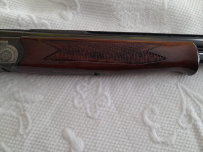 Superpuesta bettinsoli