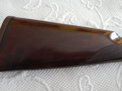 Superpuesta bettinsoli