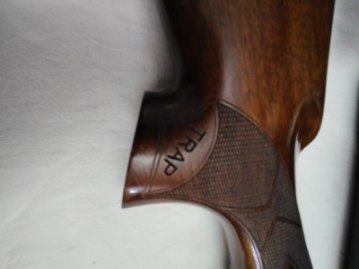 Superpuesta de tiro al plato