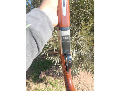 Superpuesta laurona evanor caza