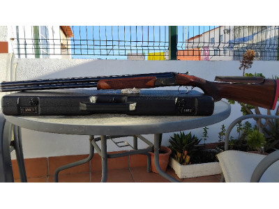 Superpuesta Renato gamba