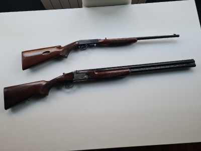 SUPERPUESTA y CARAVINA 22