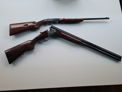 SUPERPUESTA y CARAVINA 22