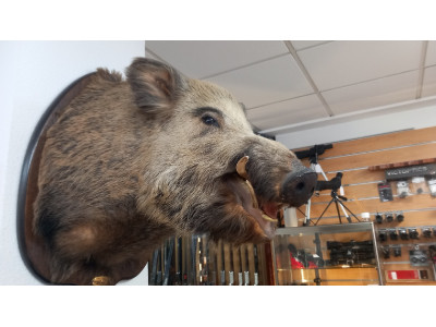 Sxr vulcan black tracker