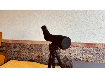 Telescopio LEUPOLD SX-2 Alpine HD 20-60x80 - 45°