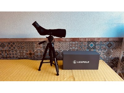 Telescopio Leupold SX-2 Alpine HD 20-60x80 - 45°