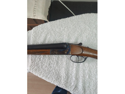 Ugartechea impoluta media bascula