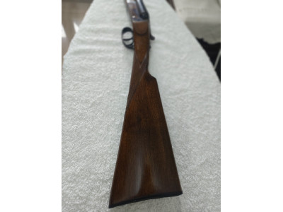 Ugartechea impoluta media bascula