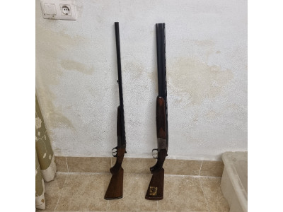 Vendo o cambio 2 Palaleras