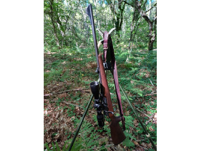 Venfo rifle Merkel kr1
