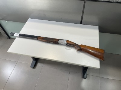 VENTA LOTE ESCOPETAS