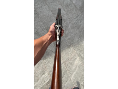 Víctor Sarrasqueta Parallela