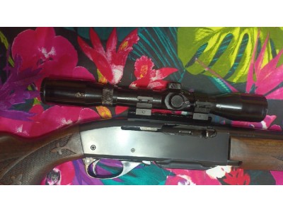 Visor de monteria nickel 2,5x6