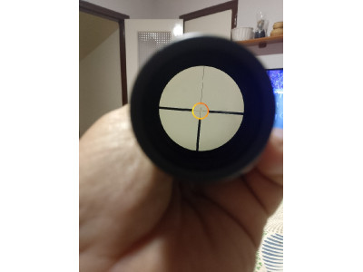 Visor Swarovski 1,25-4x24 Ret. Ilum. Circle Dot
