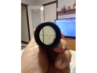Visor Swarovski 1,25-4x24 Ret. Ilum. Circle Dot