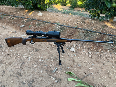 Voere 7mm rm + bases y anillas apel