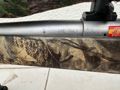 Weatherby inoxidable 338 win mag