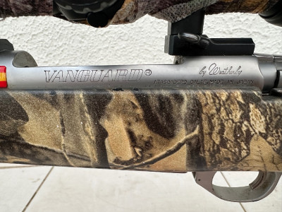 Weatherby inoxidable 338 win mag