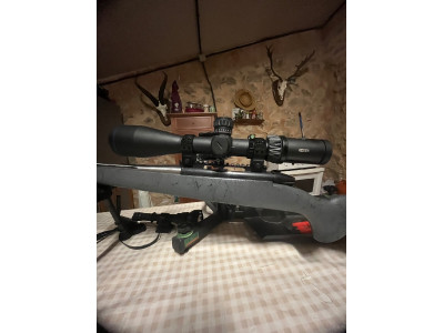 Weatherby mark v 7mm