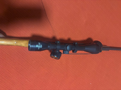 Whinchester modelo 190