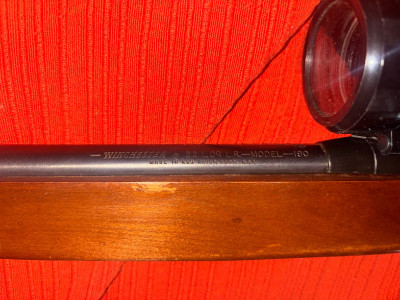 Whinchester modelo 190