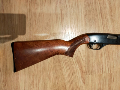 Winchester 190 22 LR