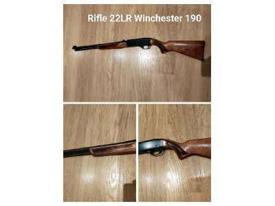 Winchester 190 .22 LR