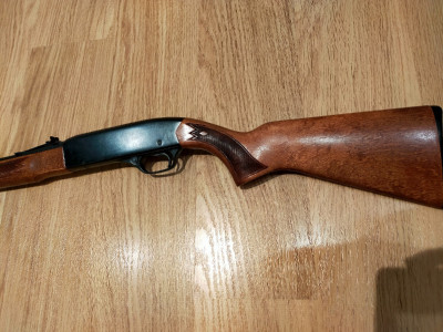 Winchester 190 22 LR