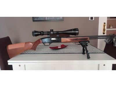 Winchester 190 Semiautomática 22 LR