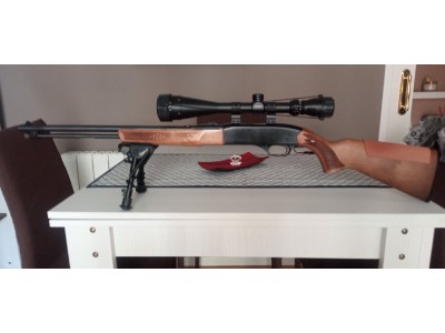 Winchester 190 Semiautomática 22 LR