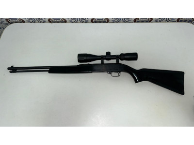 Winchester 22lr modelo 190