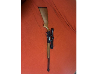 Winchester Calibre 22LR Modelo 190