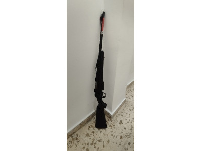 Winchester compo battue 308