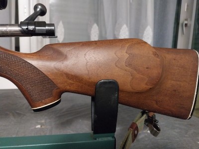 Winchester mod 70 270 win