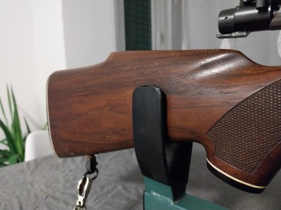 Winchester mod 70 270 win