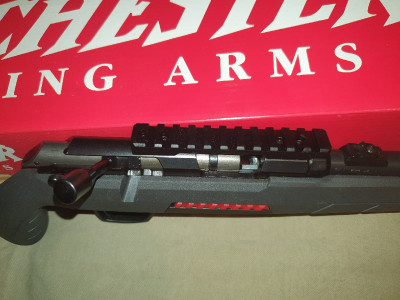 Winchester xpert 22 lr