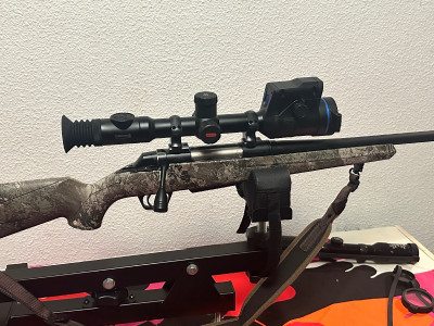 Wuinchester y vizor pulsar