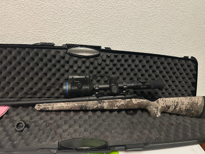 Wuinchester y vizor pulsar