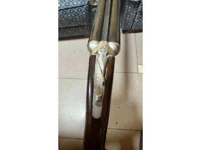 Zabala anthea escopeta