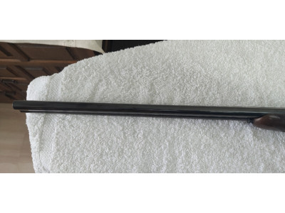 Zabala calibre dieciséis