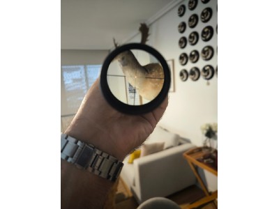 Zeiss Conquest V6 2-12x50