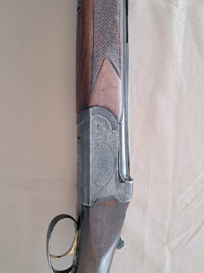 Antonio Zoli, modelo Delfino