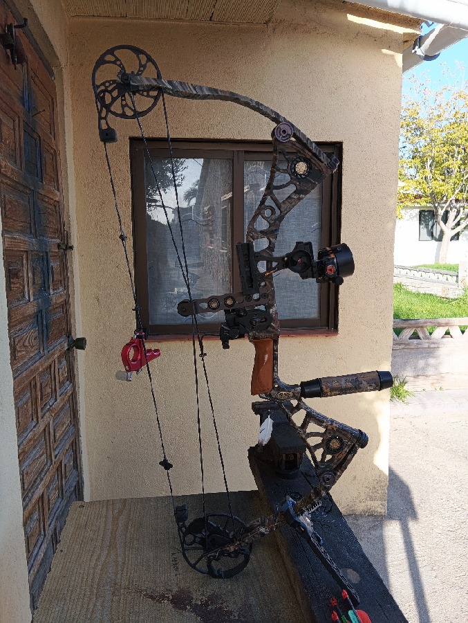 Mathews DXT