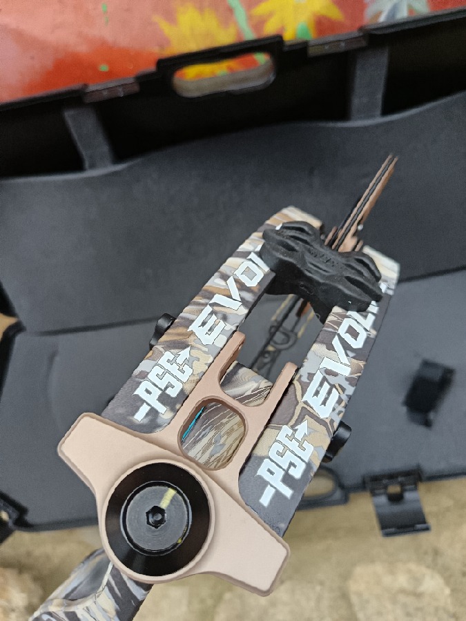 Arco poleas PSE EVOLVE